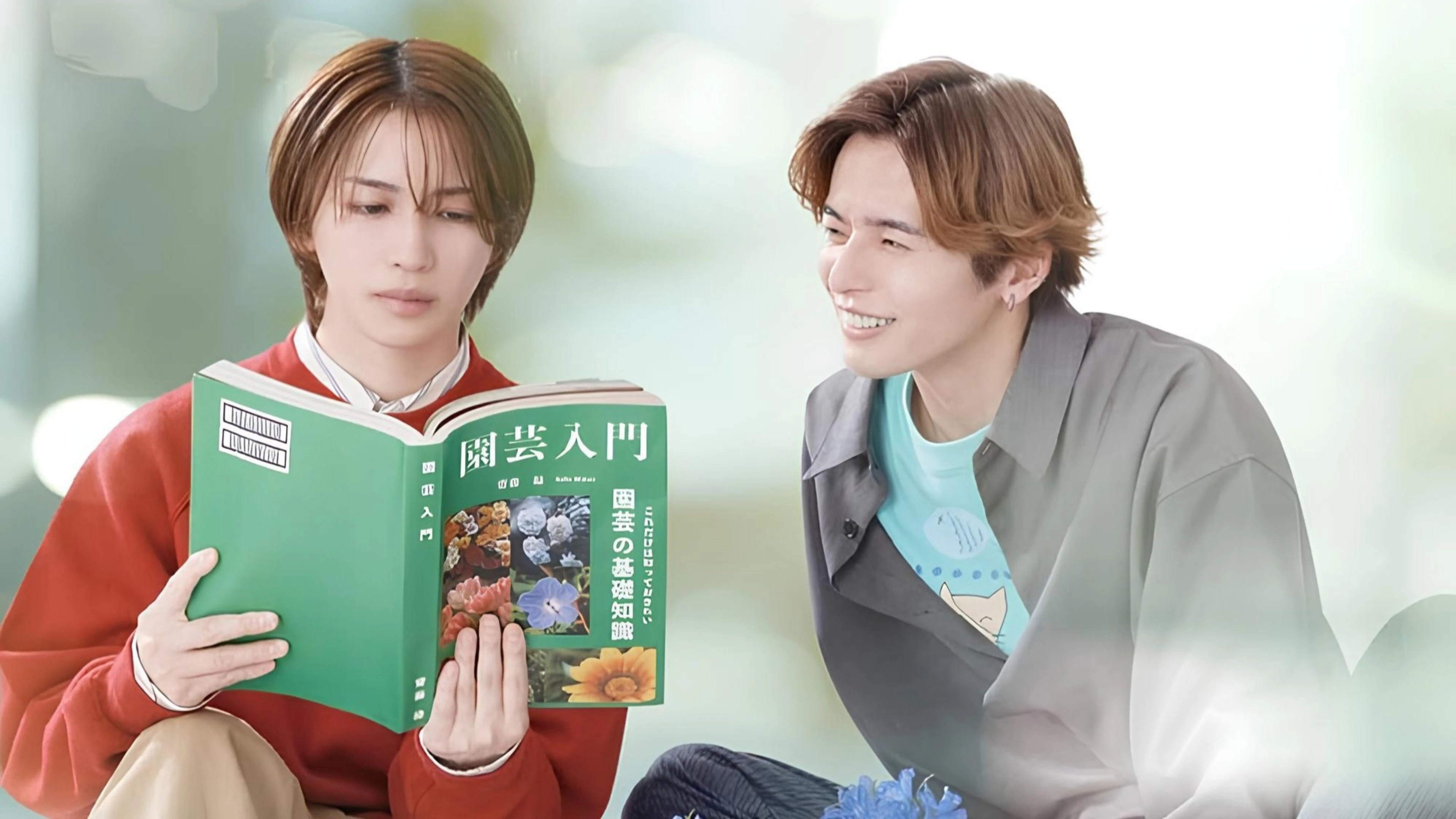 Xem Phim Cách Viết Tình Yêu Đúng Cách