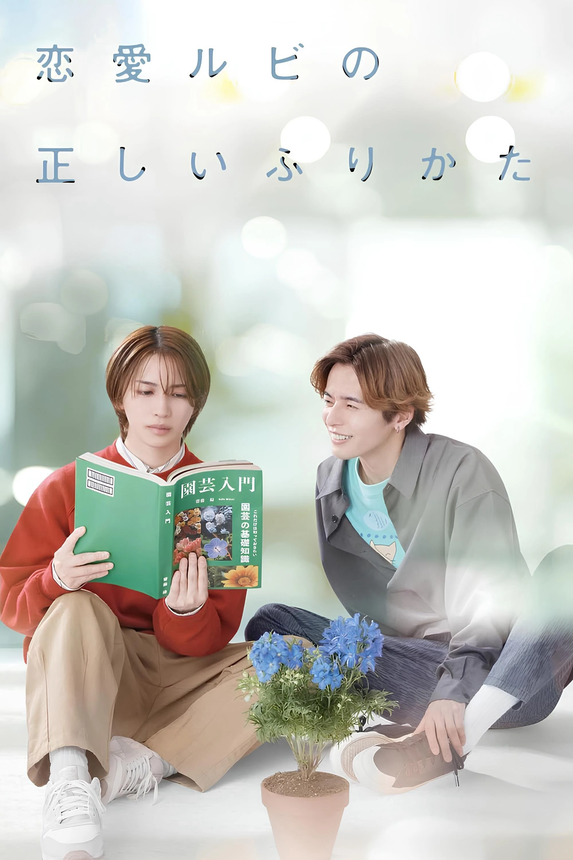 Phim Cách Viết Tình Yêu Đúng Cách - The Proper Way to Write Love (2025)