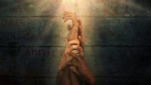 Xem Phim Cây hòa bình