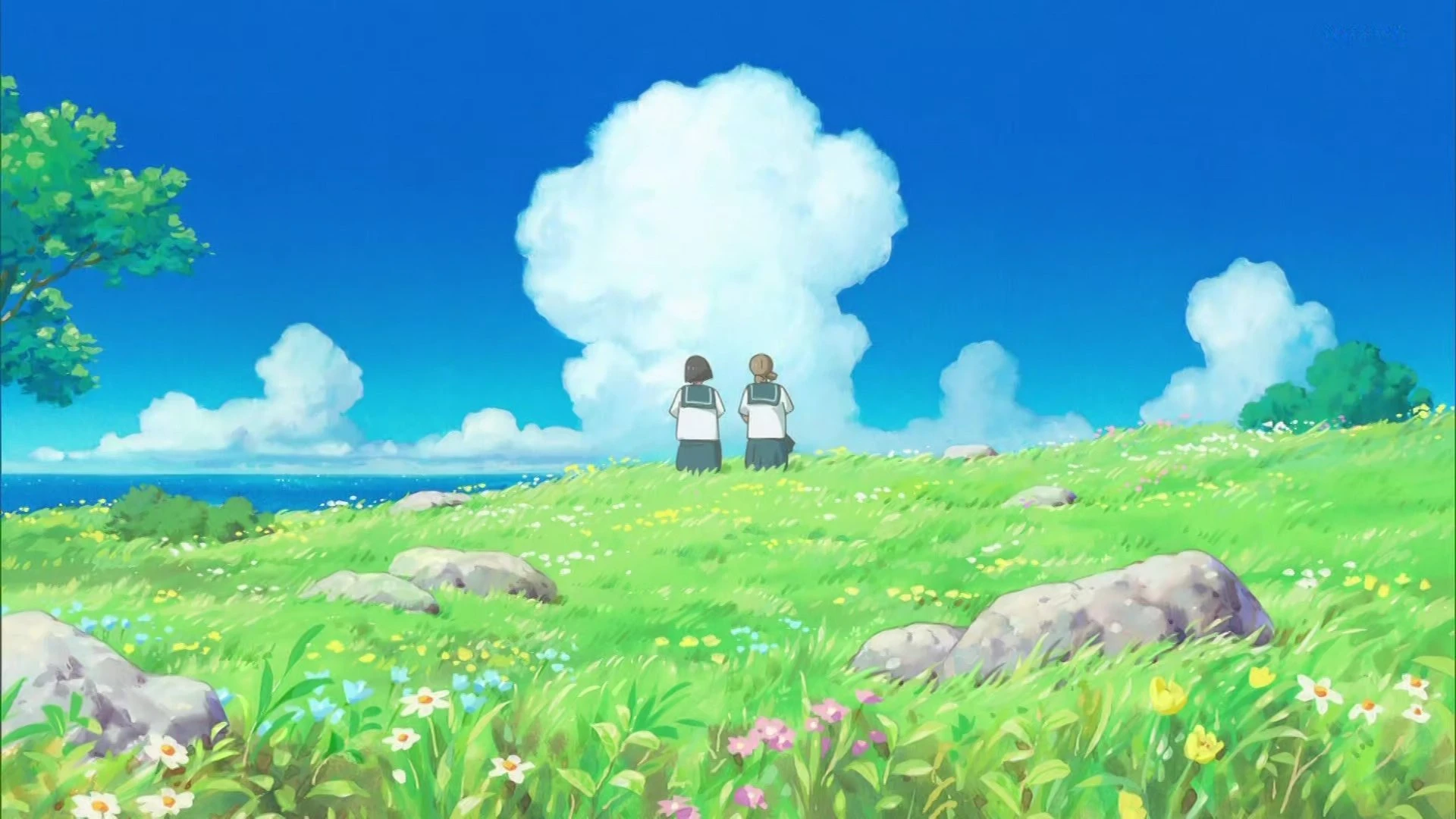 Phim Cocoon: Mùa Hạ Mong Manh - Cocoon: Aru Natsu no Shoujo (2025)