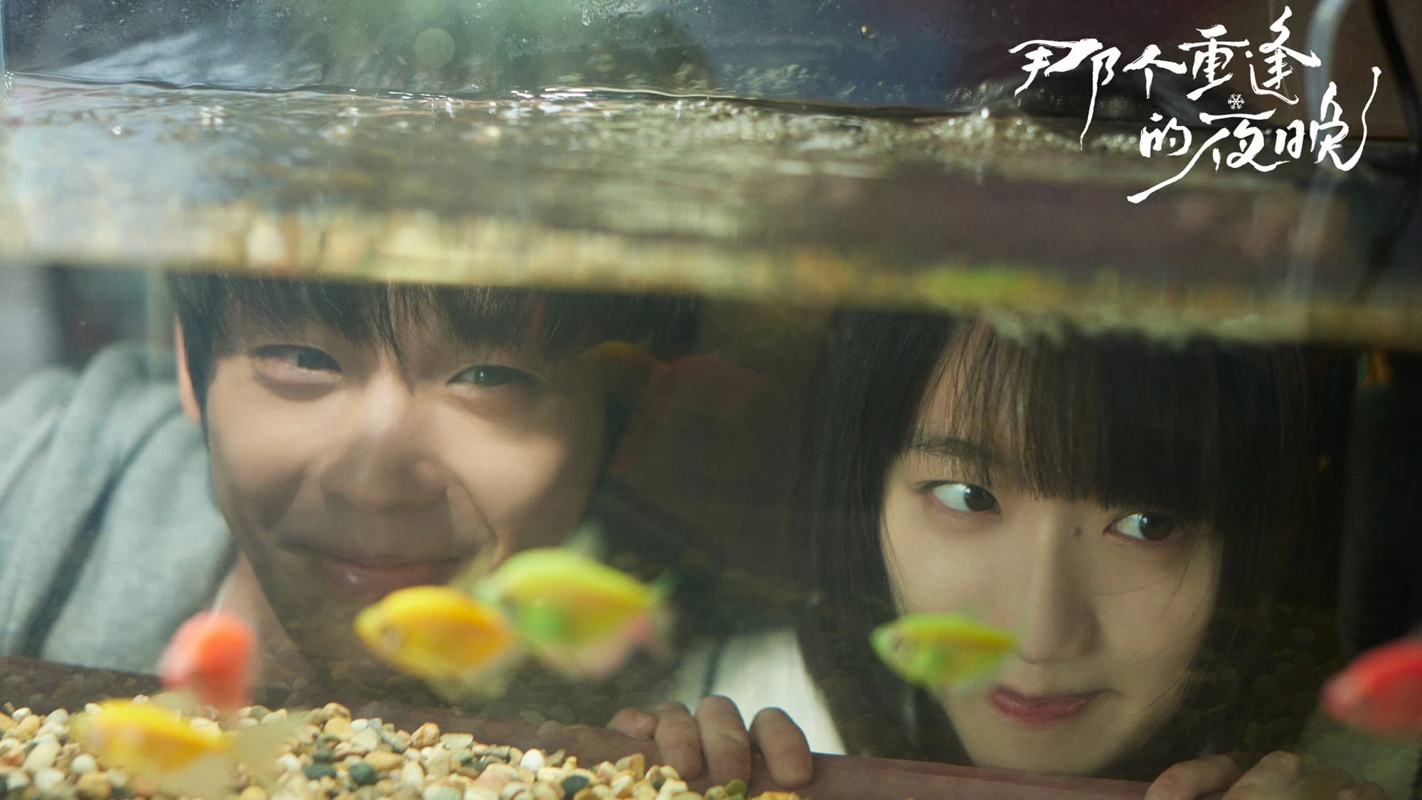 Phim Đêm Đoàn Tụ Ấy - We Shall Meet Again (2024)