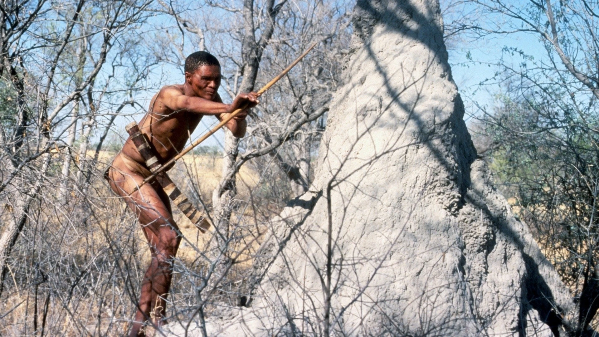 Xem Phim Đến Thượng Đế Cũng Phải Cười