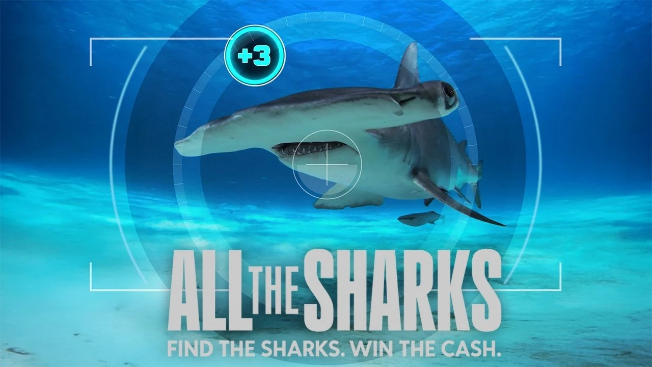 Phim Đi Tìm Cá Mập - All The Sharks (2025)