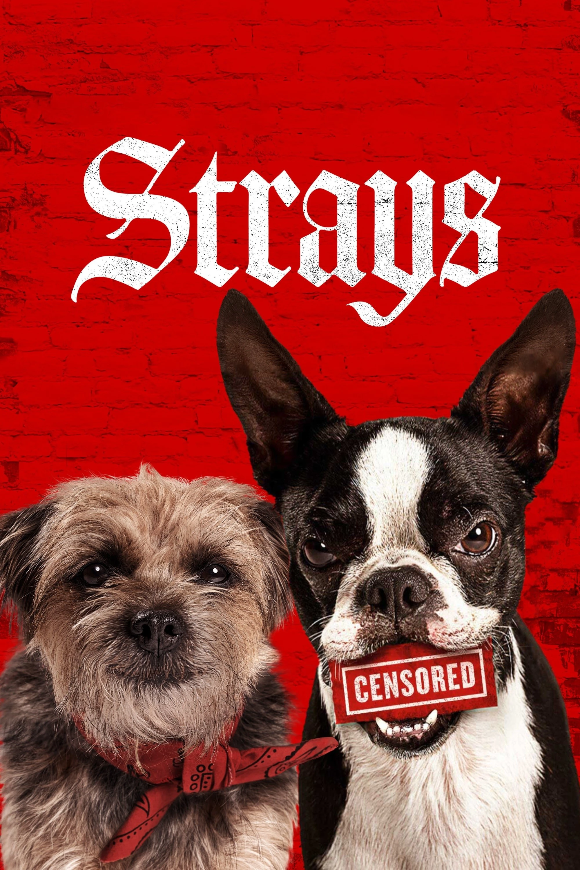 Phim Đời Quá Chó (Những Chú Chó Bụi Đời) - Strays (2023)