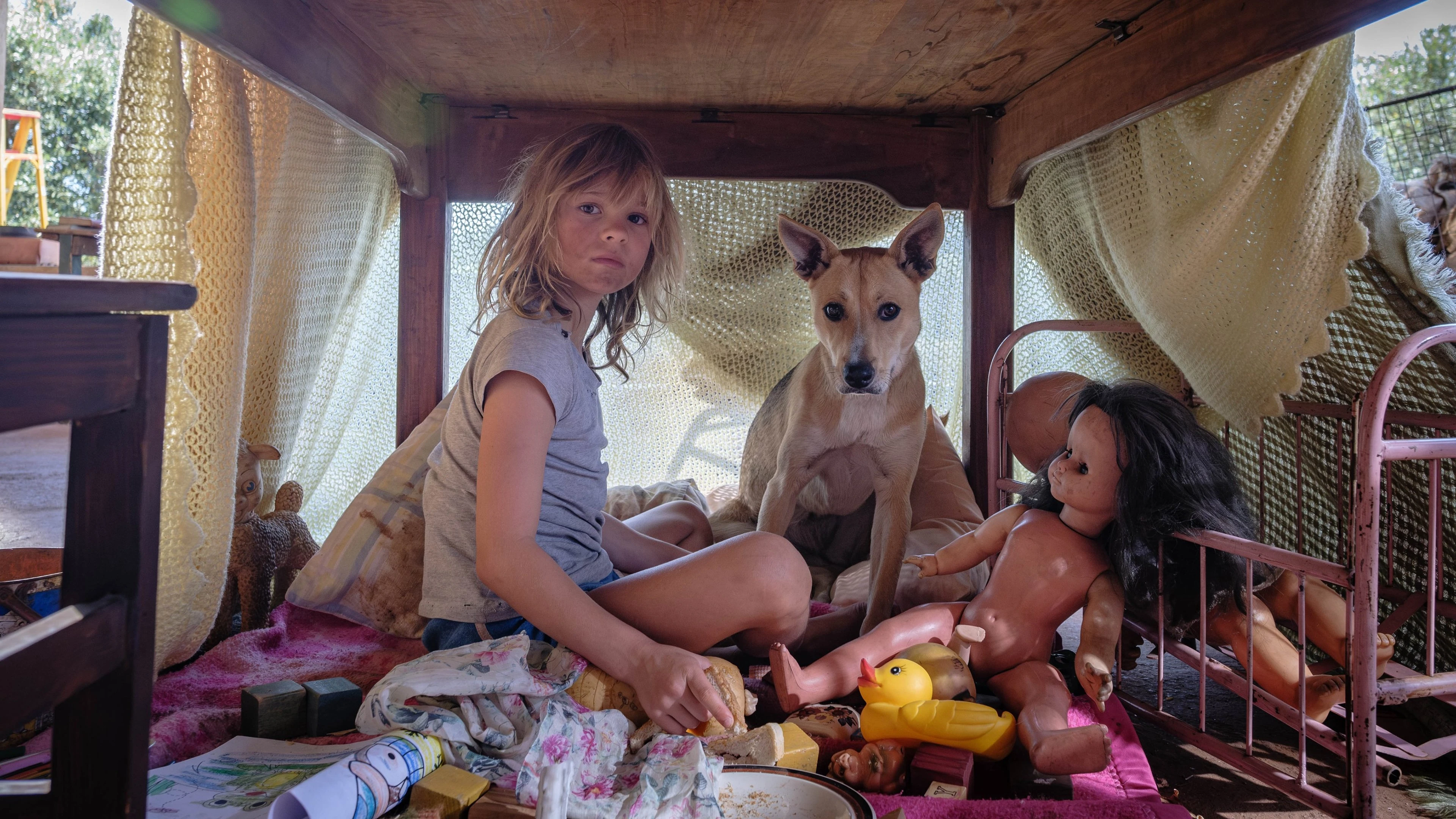 Xem Phim Đứa Trẻ Của Chiến Tranh