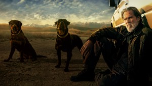 Xem Phim Lão Già Gân