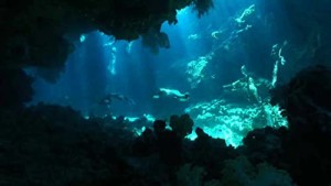 Xem Phim Nạn Săn Cá Heo