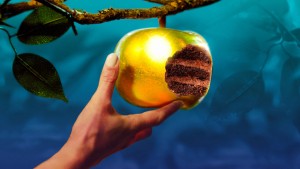 Xem Phim Ngon điên rồ