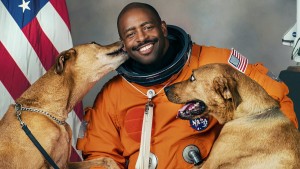 Xem Phim Những chú chó