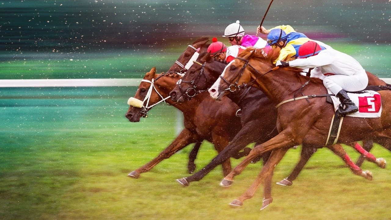 Phim Phi Nước Kiệu Đến Ngôi Vương - Race For The Crown (2025)