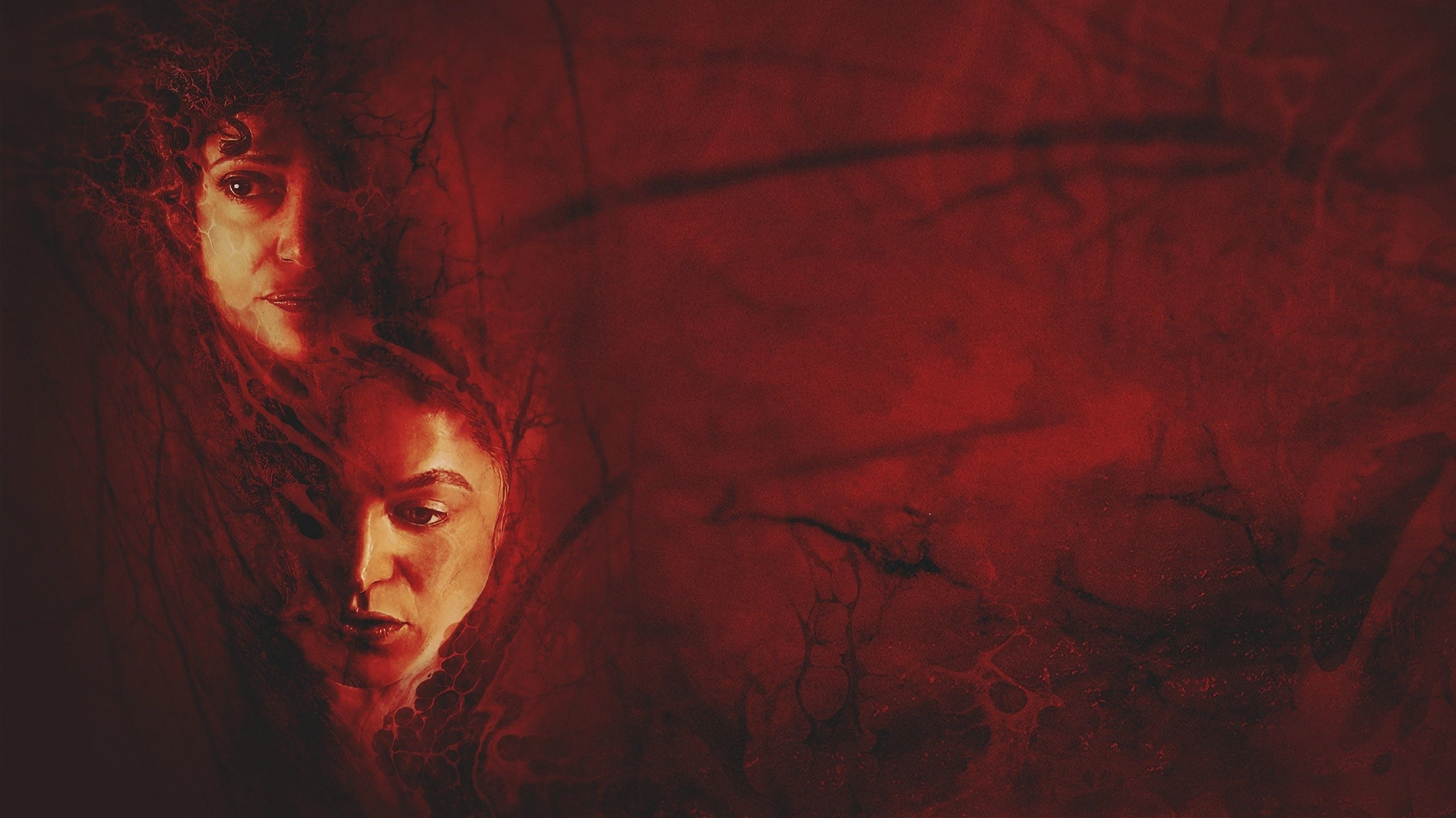 Xem Phim Sinh/Tái Sinh