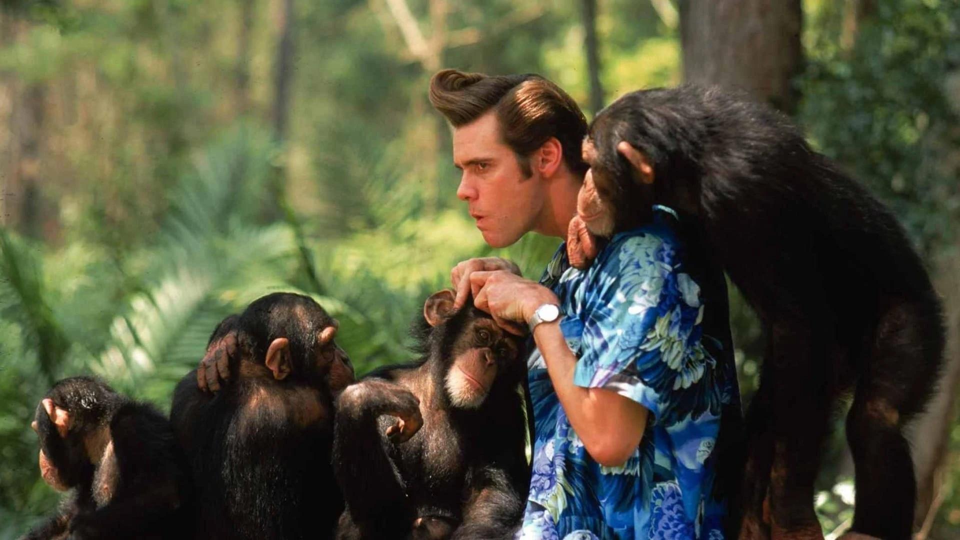 Phim Thám Tử Thú Cưng: Khi Thiên Nhiên Vẫy Gọi - Ace Ventura: When Nature Calls (1995)