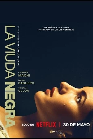 Phim Trò Chơi Của Một Góa Phụ - s Game (2025)